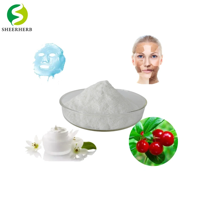 Cosmetic Raw Material Pure Organic Alpha Arbutin Powder CAS 84380-01-8 Natural Extract Bearberry Fruit Alpha Arbutin