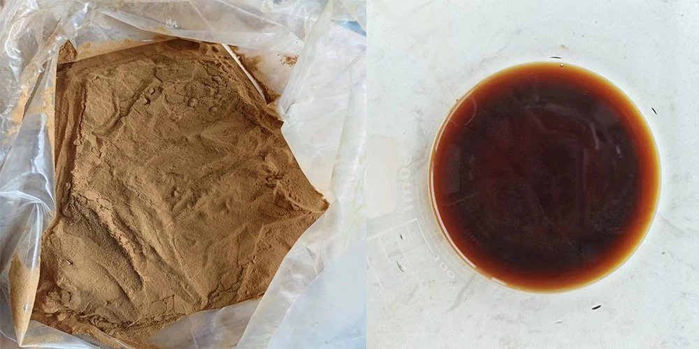 soy sauce powder 1