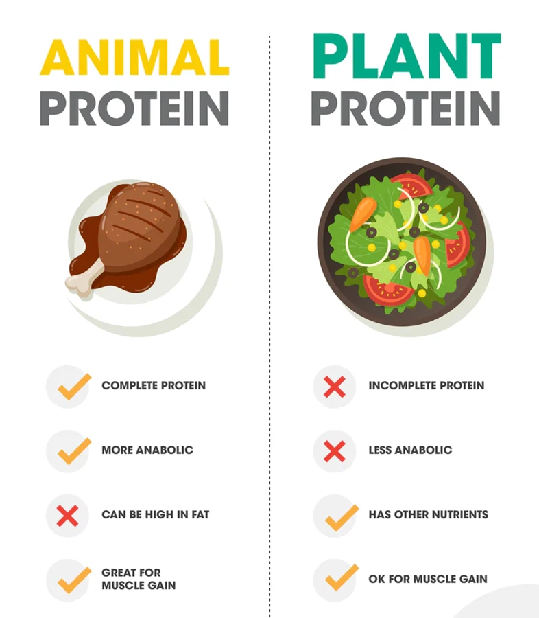vegan protein powder private label