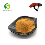 Reishi mantar özü tozu