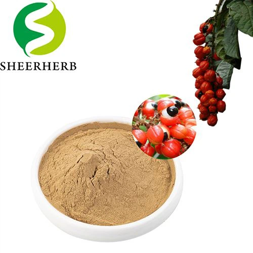 Nutricosts Guarana Tozu