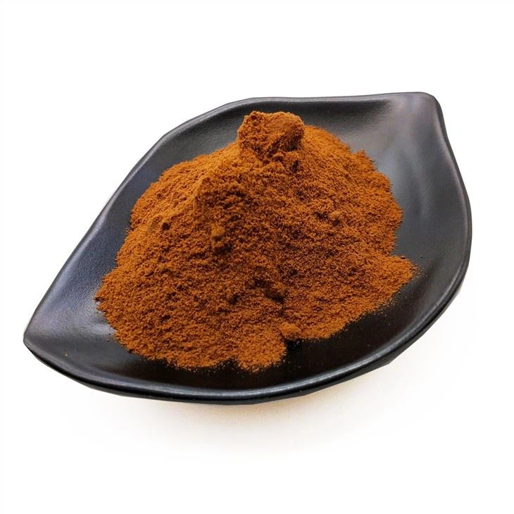 Organik Chaga Tozu