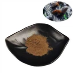 İstiridye Mantarı Özütü