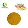Pure Gingerol Powder