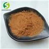 Soy Sauce Powder