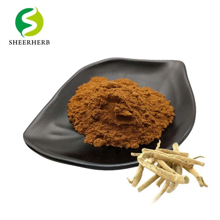 Ashwagandha Özütü