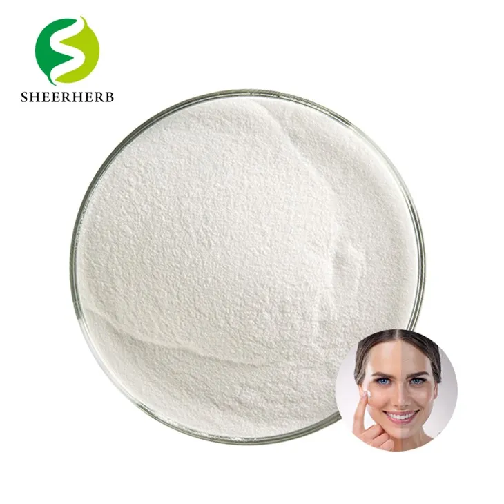 Bifida Ferment Lizatı