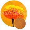 Water Soluble Lutein Microcapsules