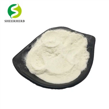 Peynir altı suyu protein tozu