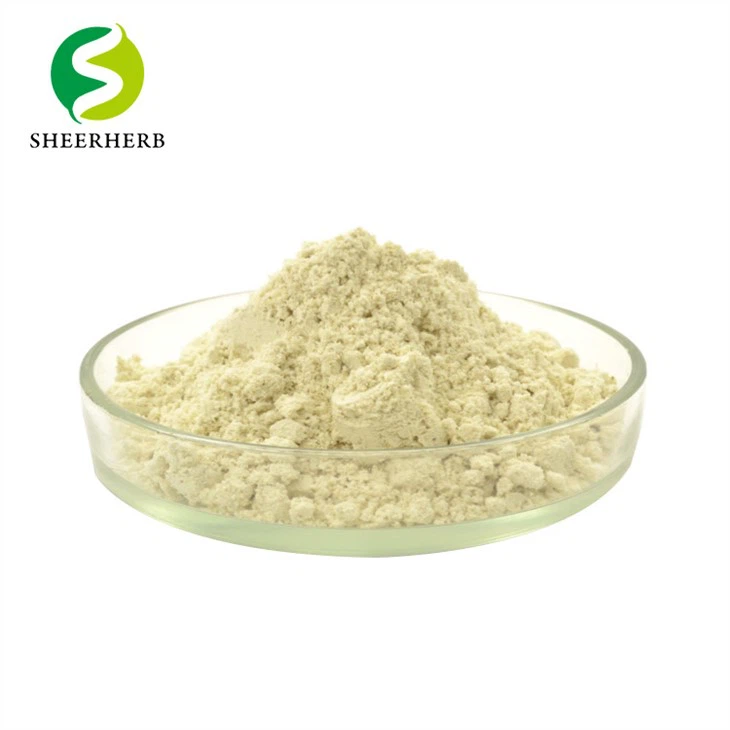 Vitamin Mineral Tozu